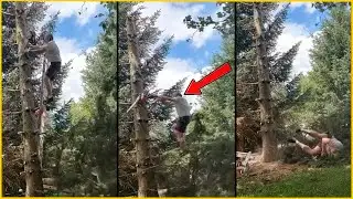Man Almost DIES While Cutting A Tree || 35 Terrifying Tree Accidents