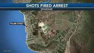 Man arrested after allegedly firing gun multiple times inside home