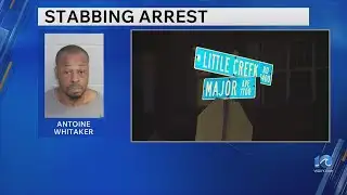 Man arrested after domestic-related stabbing in Norfolk