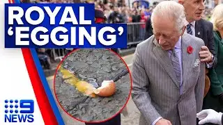 Man arrested for throwing eggs at King Charles | 9 News Australia