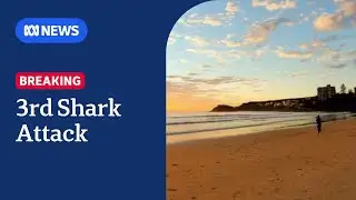 Man attacked by shark in third incident in two days | ABC NEWS