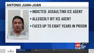 Man charged with biting ICE officer during traffic stop