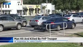 Man hit and killed by FHP trooper