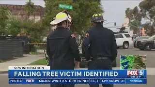 Man killed in City Heights tree collapse identified
