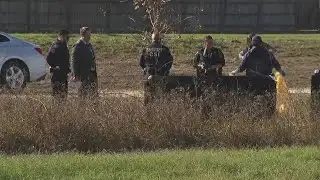 Man killed in dog attack in Katy