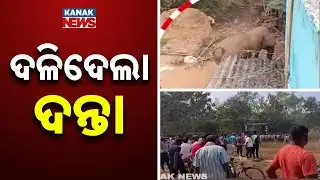 Man Killed In Elephant Attack In Khordha’s Begunia | Villagers Protest Forest Dept