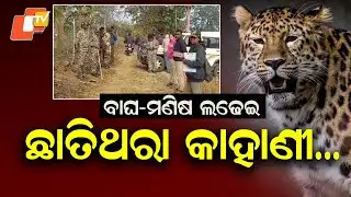 Man–Leopard Fight in Narsinghpur, Leopard Dies After Violent Encounter