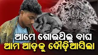 Man–Leopard Fight: Leopard Dead, Youth Critical || ବାଘ ସହ ମଣିଷର ଲଢ଼େଇ : ବାଘର ମୃତ୍ୟୁ , ଯୁବକ ଗୁରୁତର