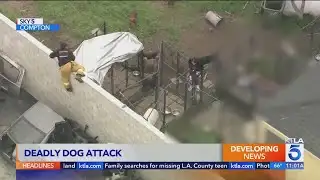 Man mauled to death by pit bulls in Compton