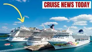 Man Pulled from Water After Falling Between Cruise Ship and Pier