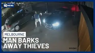 Man Scares Off Would-Be Thieves By Barking At Them | 10 News