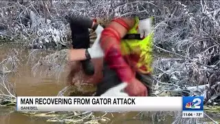 Man seriously injured after alligator attack on Sanibel