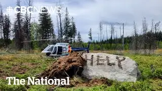 Man survives 9 days missing in B.C. woods