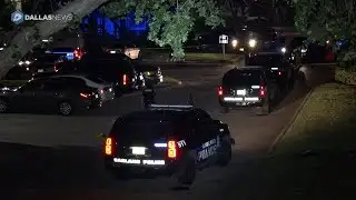 Man wielding machetes killed by Garland police