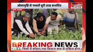 Mandsaur : ओलावृष्टि से फसलें बुरी तरह प्रभावित, स्थिति का जायजा लेने पहुंचे डिप्टी सीएम | Anaadi Tv