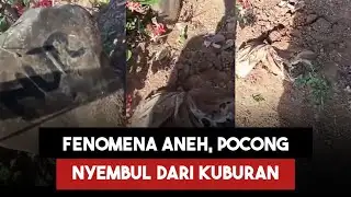 Mangaran Residents Find J454d Emerging from a Grave Near Jember State Elementary School 4