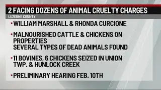 Many animals seized, found dead in cruelty case | 28/22 News