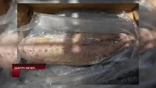 MAQIS NEWS EDISI MEI 2021