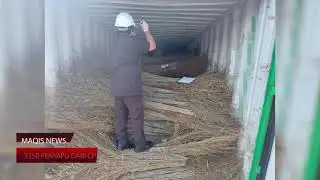 MAQIS NEWS EDISI SEPTEMBER 2021