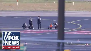 Marc Morano: This is the 