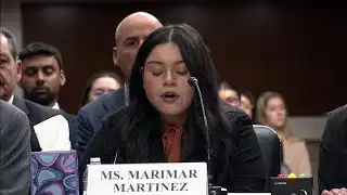 Marimar Martinez describes encounter with Border Patrol vehicles in Chicago