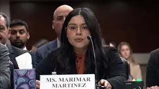 Marimar Martinez speaks to lawmakers about being shot by CBP agent in Chicago