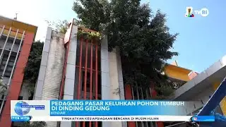 MARKET TRADERS COMPLAIN ABOUT TREES GROWING ON BUILDING WALLS