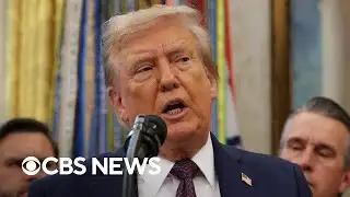 Markets react to ruling that most of Trump