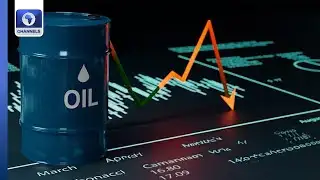 Markets Slide As AI Fears Rattle Investors