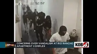 Masked vandals have Rio Rancho residents on edge
