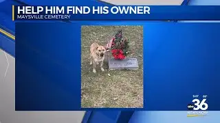 Mason County Animal Shelter is asking for the public