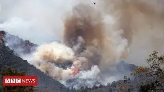 Massive Californian wildfire forces evacuations  - Latest News