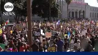 Massive crowds from California to New York turn out to protest ICE crackdowns