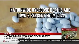 Massive drug bust in Cuyahoga County