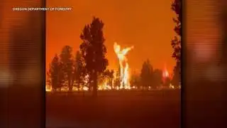 Massive dust storm engulfs Phoenix