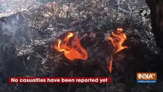 Massive fire near forest road in Shimla doused