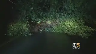 Massive Napa Landslide Blocks Off Redwood Rd.