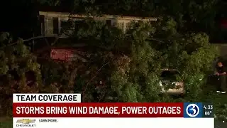 Massive tree lands on home during storm in Windsor