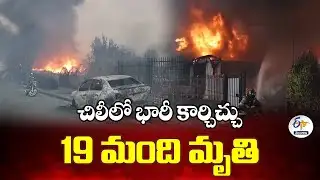 Massive Wildfires in Chile | Death Toll Rises to 19, Thousands Homeless