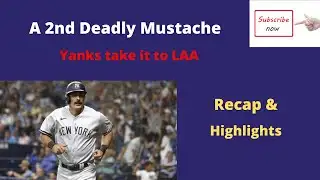 Matt Carpenter Brings the Lumber, Monty Gets Support || Recap and Highlights