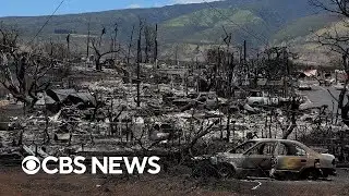 Maui wildfire caused by "compound disaster," Washington Post finds