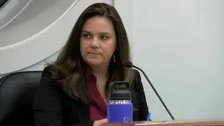 Maumee City Council approves 12-month moratorium on data centers