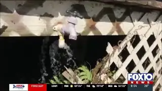 MAWSS issues statement on broken water mains