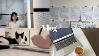 mcat study vlog 📚🐱 || the summer I burnt out