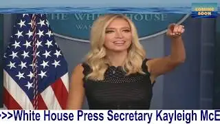 McEnany parents Michael and Leanne McEnany, received somewhere between $1–2 million dollars from PPP