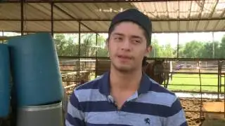 MCSO continues search for 3 suspects who shot 2 horses