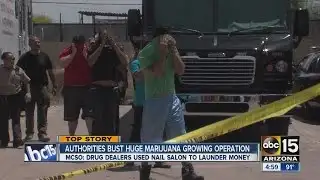 MCSO makes biggest pot bust in Phoenix history