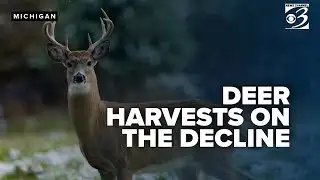 MDNR: Michigan sees significant decline in hunters over past few decades