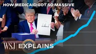 Medicaid, Explained: What’s Trump Cutting in 2025? | WSJ