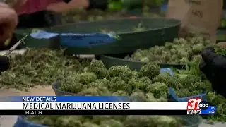 Medical Marijuana Licenses